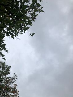 the sky is very cloudy and there are trees