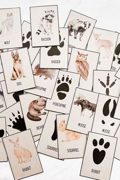 a bunch of cards with different animals and their names on them, all in black and white