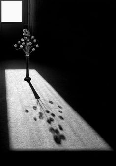 a vase with some flowers in it sitting on the floor next to a window sill