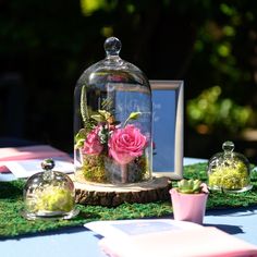 a glass clochet with pink roses and moss in it sitting on top of a table