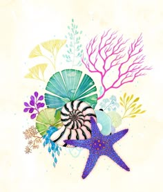 a starfish and sea shells are depicted in this watercolor painting by artist susan grisby