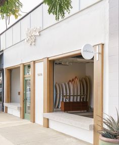 surfboards are displayed in the window of a store