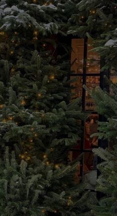 christmas trees are lit up in front of a window