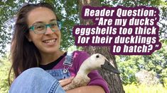 a woman with glasses holding a duck in front of a tree and text that reads, reader question are my ducks eggshells too thick for their ducturings to match?