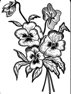 a bunch of flowers that are in black and white, vintage line drawing or engraving