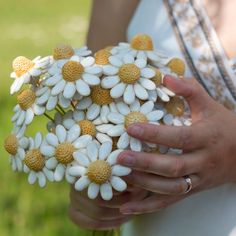 a woman holding a bouquet of daisies in her hands