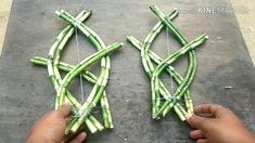 two hands are holding some green bamboo sticks