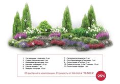 a garden with different types of flowers and trees in it, including the names of each flower