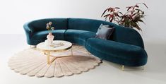 a blue couch sitting on top of a white rug next to a coffee table and potted plant