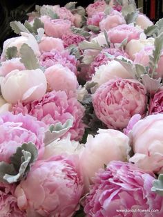 a bunch of pink flowers sitting on top of a table