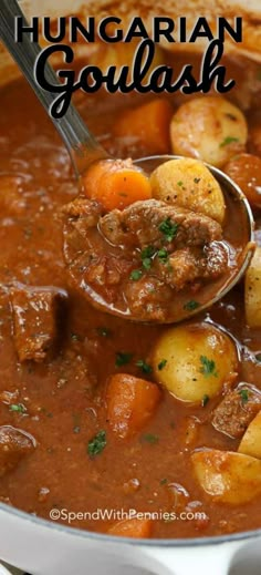 a ladle full of hungarian goulash with potatoes