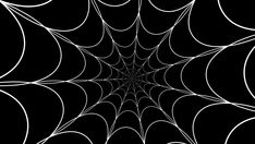 an abstract black and white spider web pattern