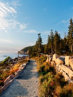 a path leading to the beach with trees on both sides and water in the background