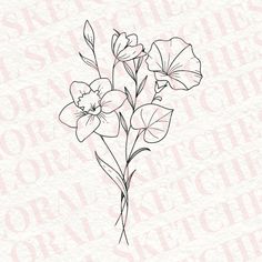 some flowers that are on top of a pink and white background with the words,