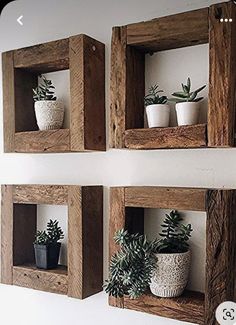 three wooden shelves with plants in them on the wall next to each other, one holding two potted plants