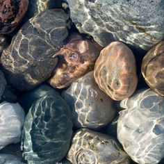 some rocks and stones with water on them