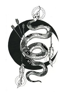 an image of a snake with arrows on it