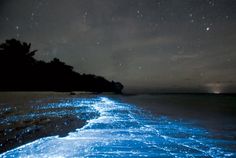 an image of the ocean at night with a quote on it that says, always trust your first gutt instructs if you gently feel in your heart and soul