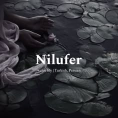 a book cover with water lilies and the title nilufer written in white