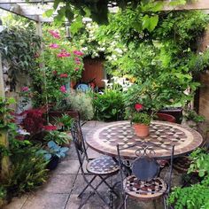 an outdoor table and chairs with potted plants in the back yard area, surrounded by greenery