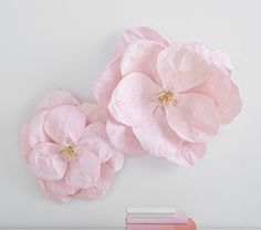 two pink flowers sitting on top of a shelf