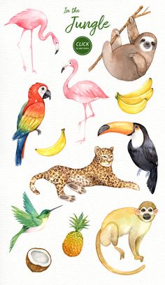 watercolor painting of tropical animals and birds