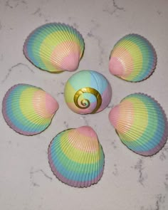 six seashells are arranged in a circle on the counter top, with one shell painted multicolored