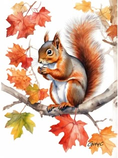 a watercolor painting of a squirrel on a branch with autumn leaves in the background