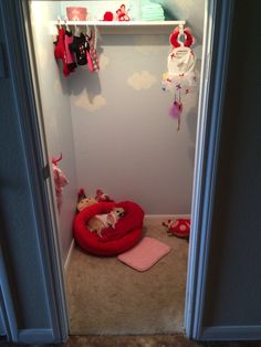 a dog is sleeping in his bed on the floor next to its owner's closet