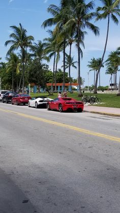 several cars parked on the side of the road in front of palm trees and a bench