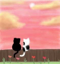 two black and white cats sitting on top of a grass covered field under a pink sky