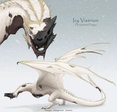 Viserion Art, Undead Dragon, Game Of Thrones Series, Game Of Thrones Artwork, Game Of Thrones Dragons, Got Dragons, Httyd Dragons, Dragon Sketch, Creature Artwork