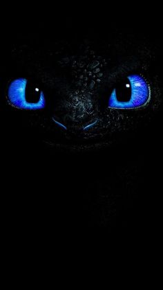 the blue eyes of a cat are glowing in the dark