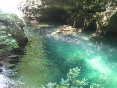 the water is very clear and green in this area