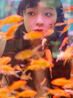 a young woman looking at fish in an aquarium