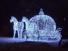 a horse drawn carriage is lit up with fairy lights and the words vibrant aspirationss