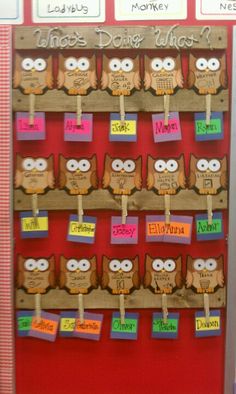 a bulletin board with owls on it