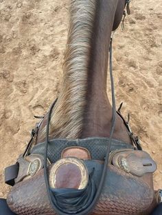 the back end of a horse's head and saddle