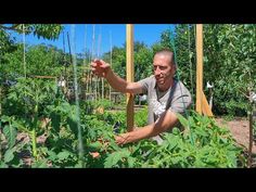 a man kneeling down in the middle of a garden