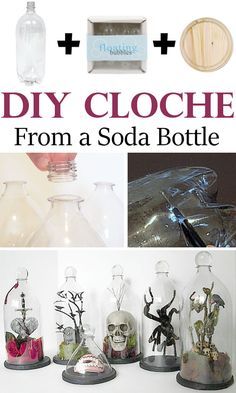 there are several bottles with plants in them and the words diy cloche from a soda bottle