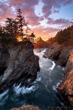 the sun is setting over an ocean with rocks and trees in the foreground,