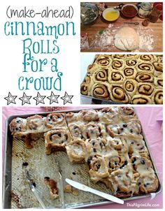 homemade cinnamon rolls for a crowd