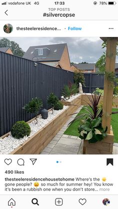 an image of a backyard with plants in it