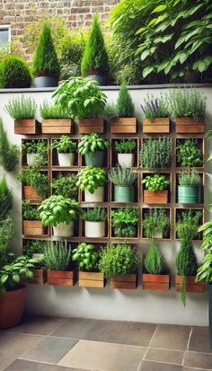 an assortment of potted plants are arranged on a wall