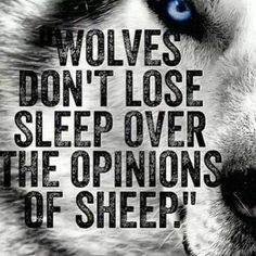 I Dont Care Quotes, Life Quotes Love, Care Quotes, Badass Quotes, The Words, Wolves