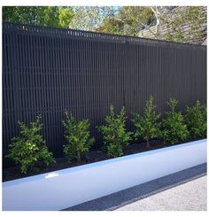 a black fence and some plants in front of it