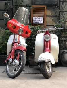 two motor scooters parked next to each other in front of a building with plants