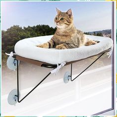 LSAIFATER Cat Window Perch with Supported Under Metal, Cat Hammock with Spacious and Comfortable Pet Bed for Kittens & Large Cat Window Bed, Cat Window Perch, Window Perch, Metal Cat, Work Space Decor, Cat Window, Cat Hammock, Window Bed, Large Cats