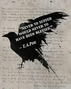 a black bird sitting on top of a piece of paper with words written in it