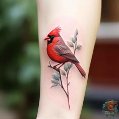 a red bird sitting on top of a tree branch with leaves around it's legs